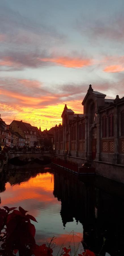New ! Vue Petite Venise, Place To Be - Parking كولمار المظهر الخارجي الصورة