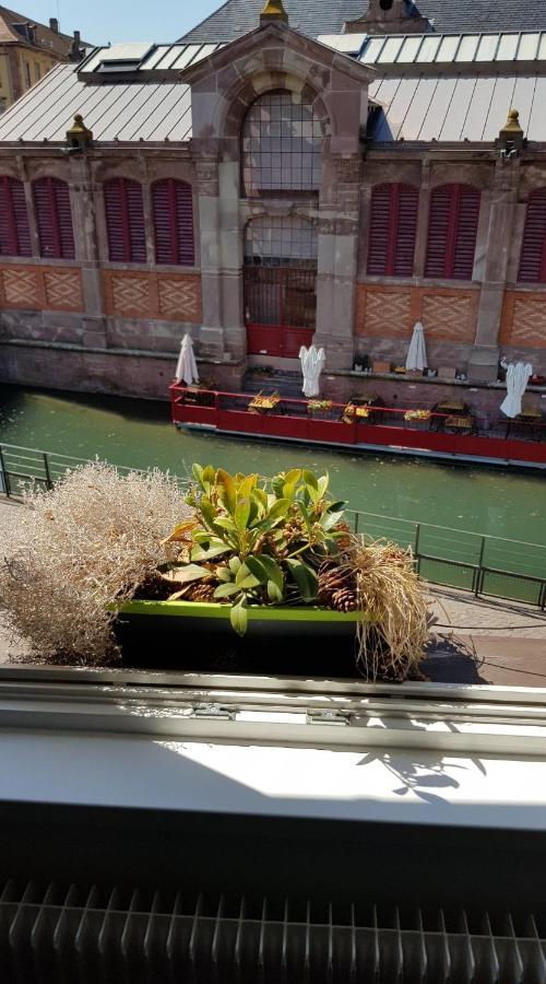 New ! Vue Petite Venise, Place To Be - Parking كولمار المظهر الخارجي الصورة