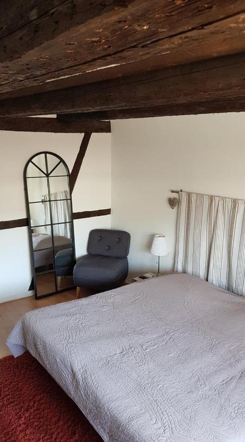 New ! Vue Petite Venise, Place To Be - Parking كولمار المظهر الخارجي الصورة